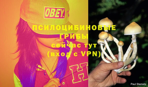 метамфетамин Михайловка